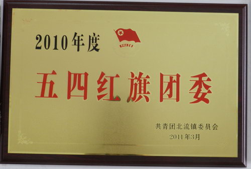 2010年度五四红旗团委