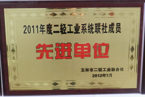 2011年度二轻工业系统联社成员先进单位