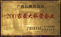 广西壮族自治区200家最大私营企业