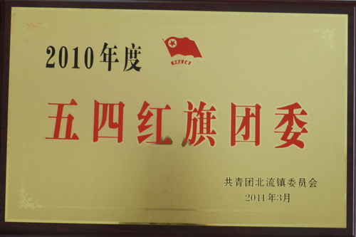 2010年度“五四红旗团委”