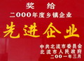 2000年度乡镇企业先进企业